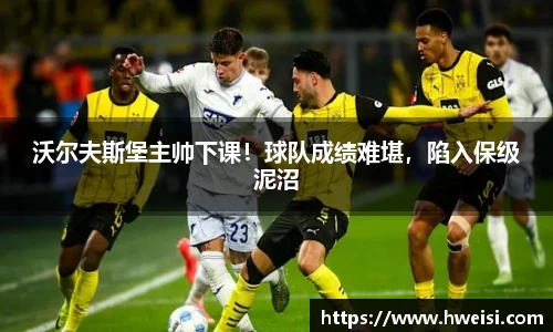 沃尔夫斯堡主帅下课！球队成绩难堪，陷入保级泥沼