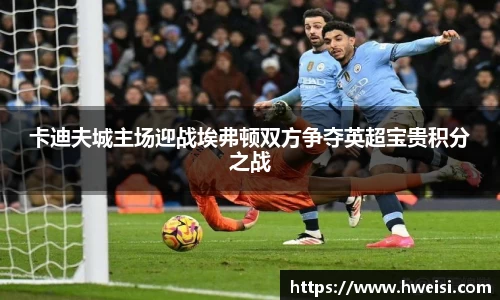 卡迪夫城主场迎战埃弗顿双方争夺英超宝贵积分之战